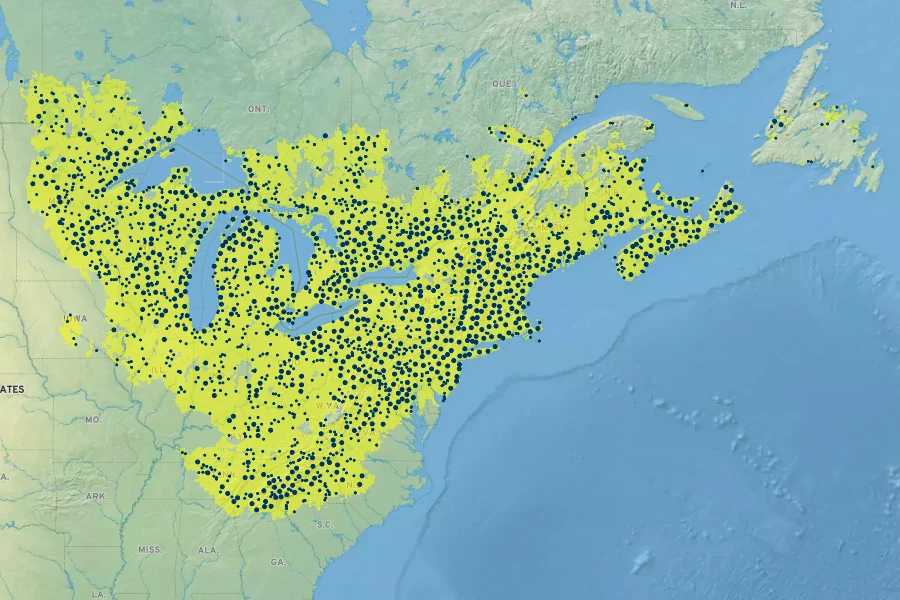 Pinus strobus Native Range