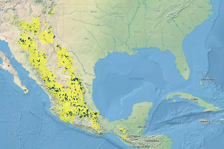 Piptochaetium fimbriatum Native Range