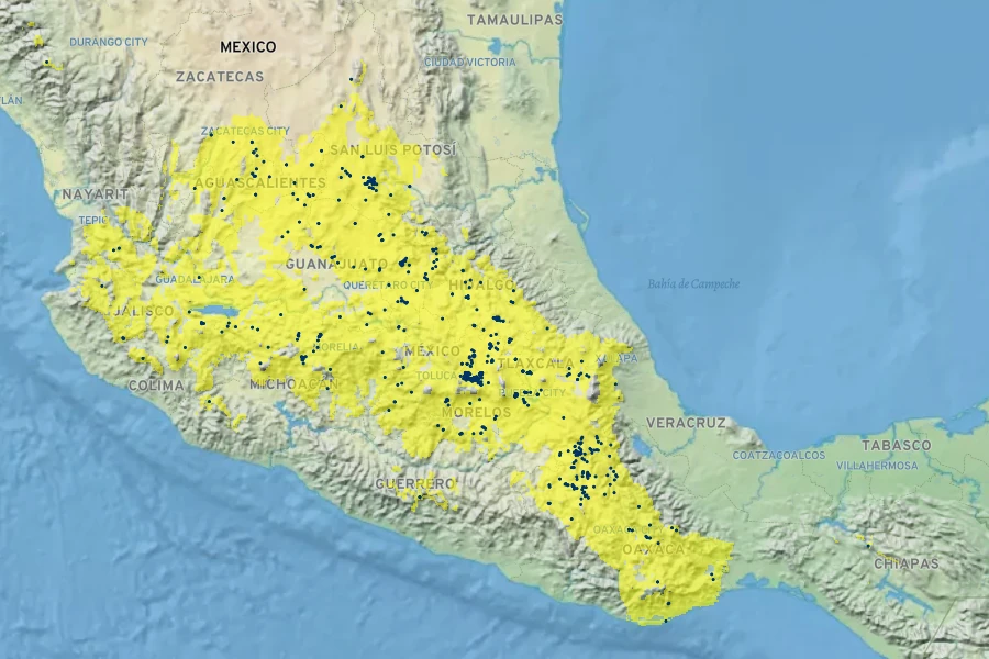 Pittocaulon praecox Native Range