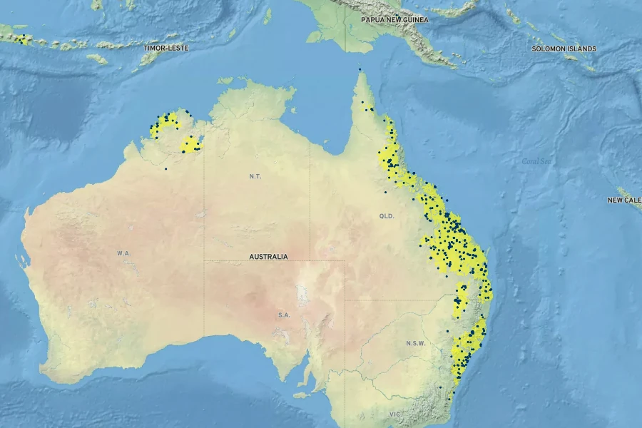 Pittosporum spinescens Native Range