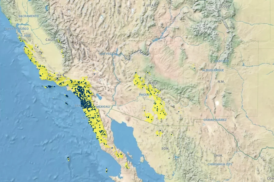 Plagiobothrys collinus Native Range