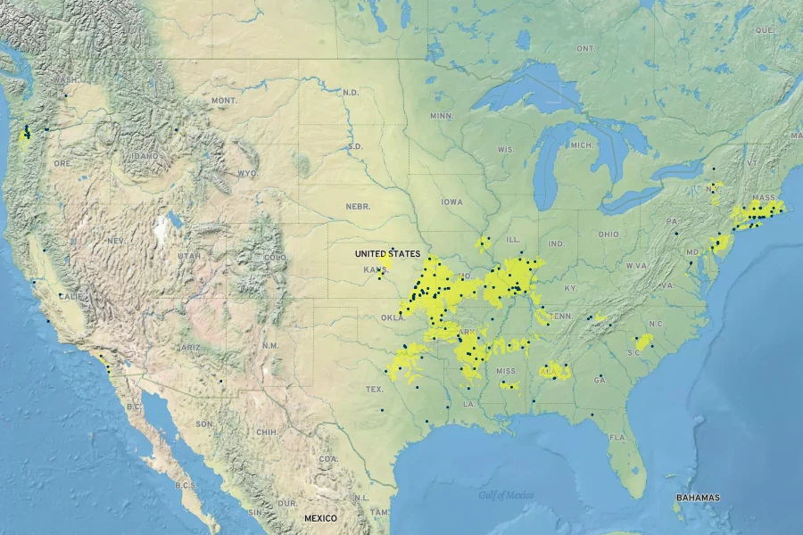 Plantago pusilla Native Range