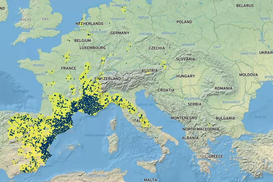 Plantago sempervirens Native Range