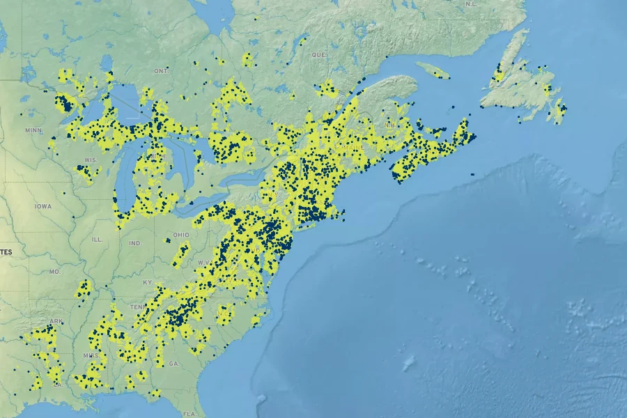 Platanthera clavellata Native Range