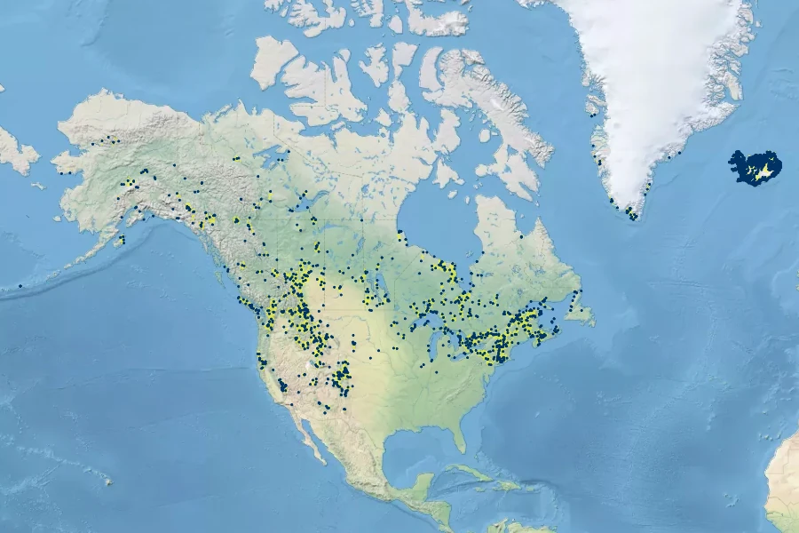 Platanthera hyperborea Native Range