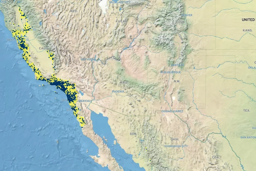 Platanus racemosa Native Range