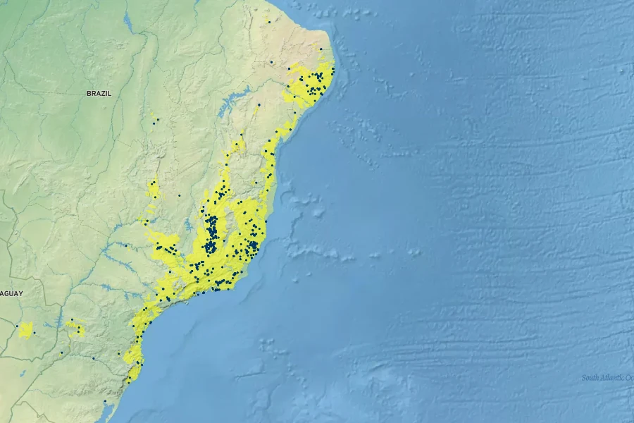 Pleroma heteromalla Native Range