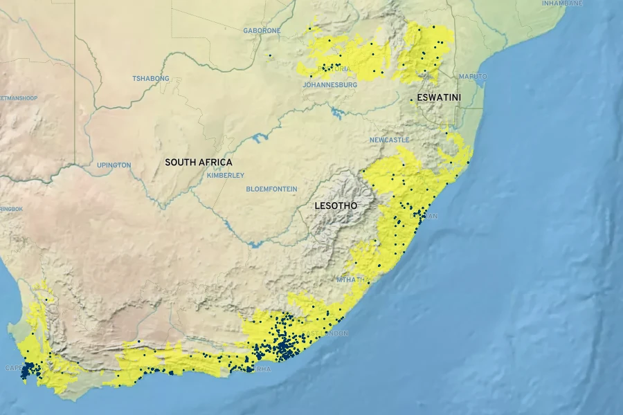 Plumbago auriculata Native Range