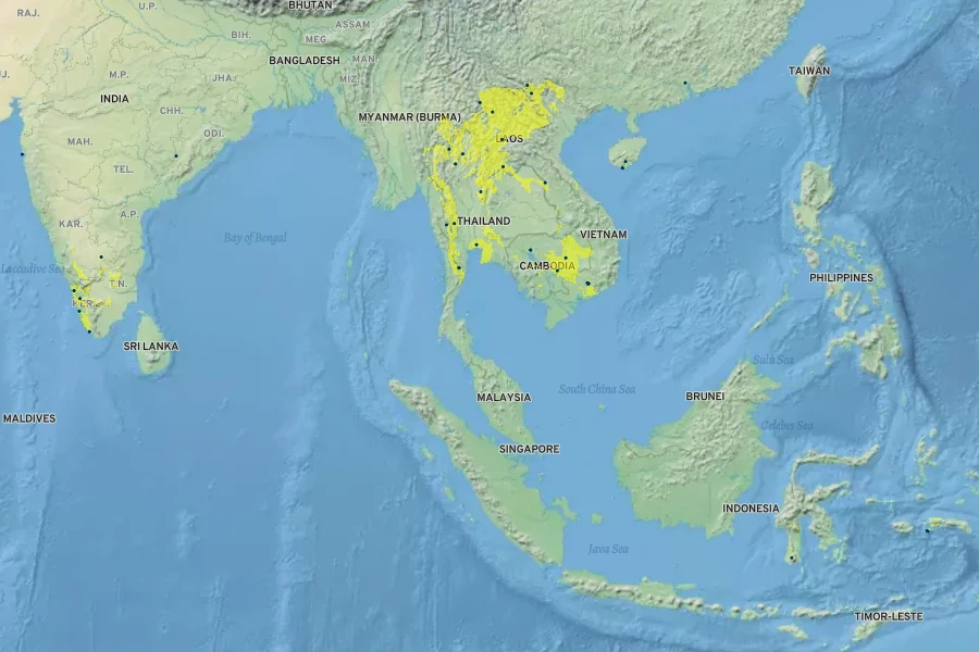 Plumbago indica Native Range