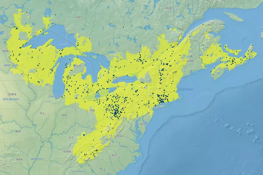 Poa alsodes Native Range