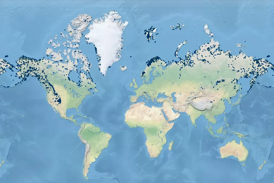 Poa arctica Native Range