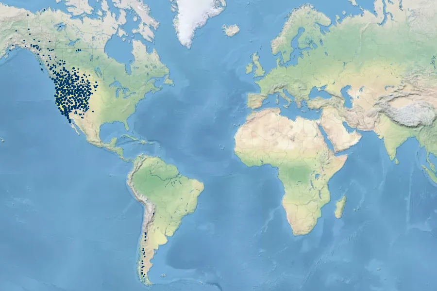 Poa secunda Native Range