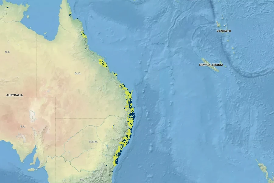 Podocarpus elatus Native Range