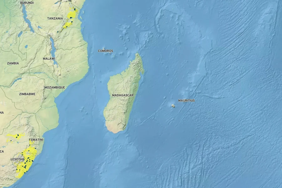 Podocarpus henkelii Native Range