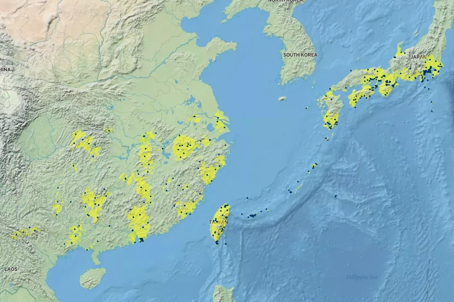 Podocarpus macrophyllus Native Range