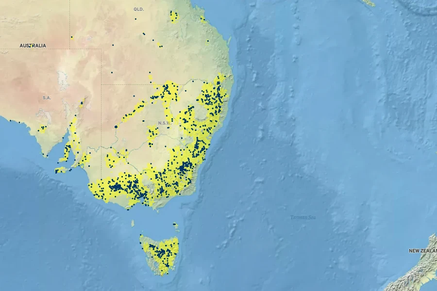 Podolepis jaceoides Native Range