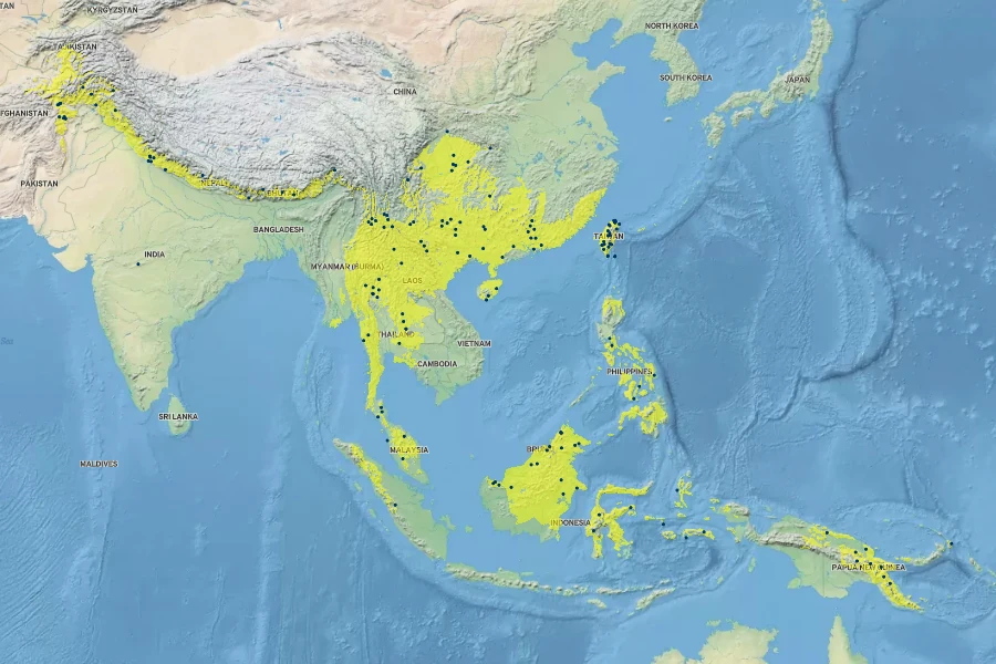 Pogonatherum paniceum Native Range