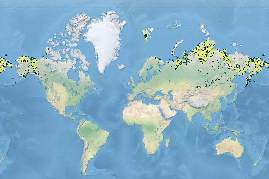 Polemonium boreale Native Range