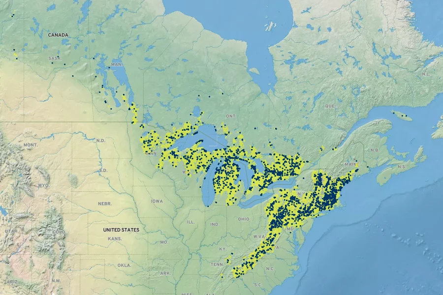 Polygaloides paucifolia Native Range