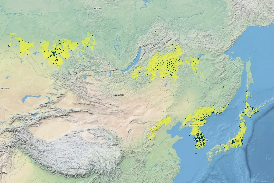 Polygonatum humile Native Range