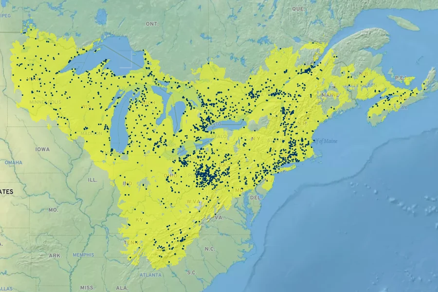Polygonatum pubescens Native Range