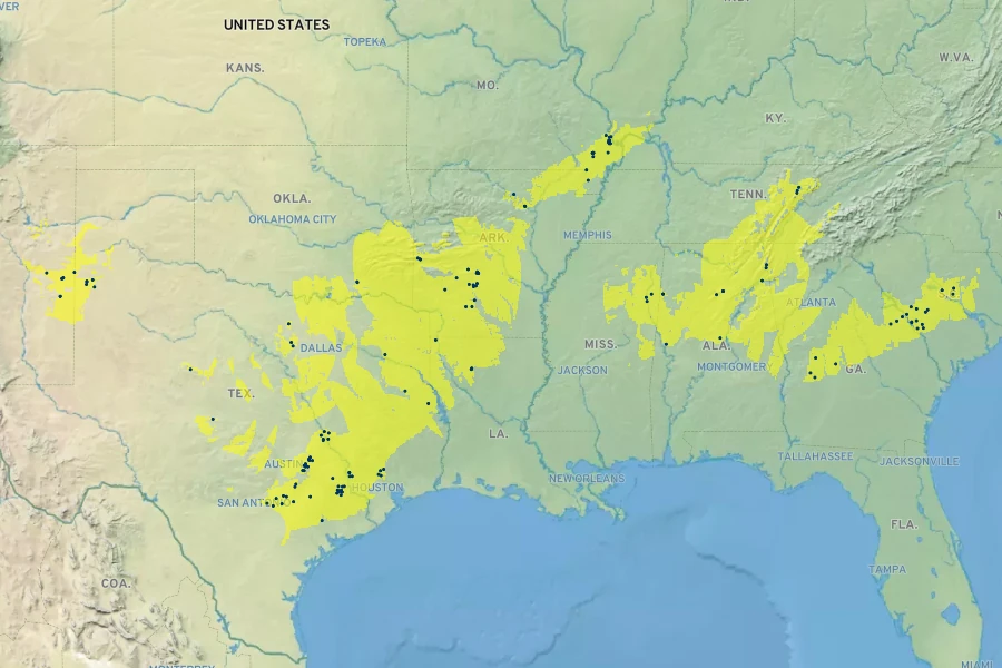 Polygonella americana Native Range