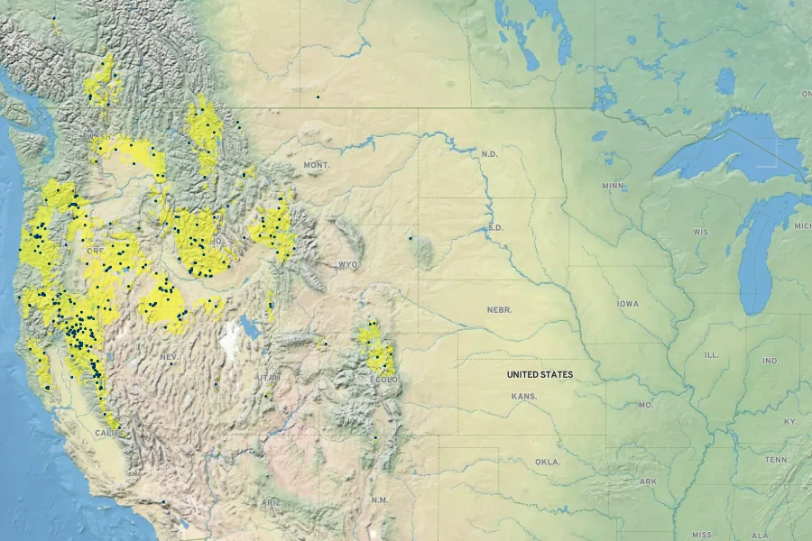 Polygonum polygaloides subsp. confertiflorum Native Range