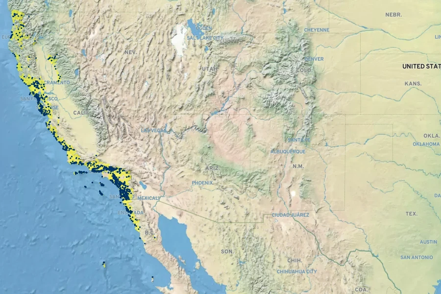 Polypodium californicum Native Range