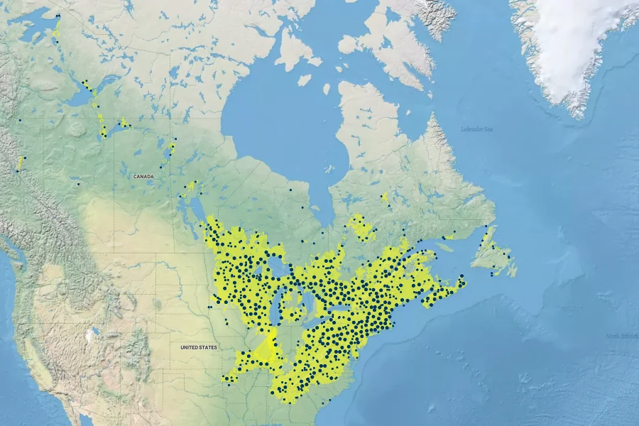 Polypodium virginianum Native Range
