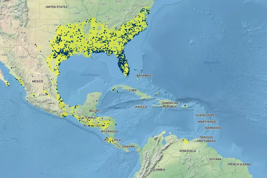 Polypremum procumbens Native Range