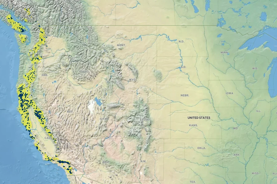 Polystichum imbricans Native Range