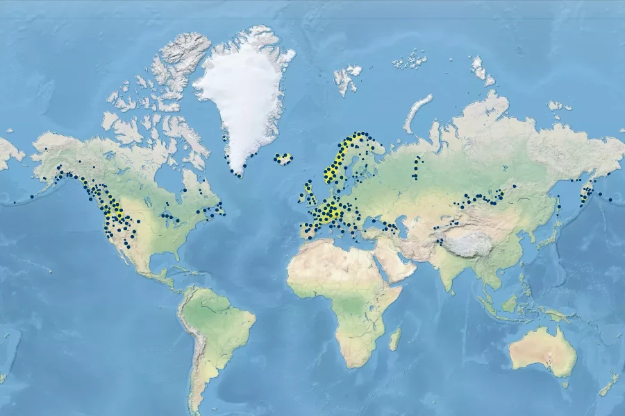 Polystichum lonchitis Native Range