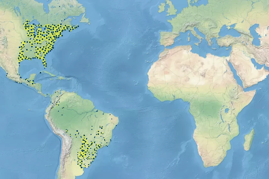 Pontederia cordata Native Range