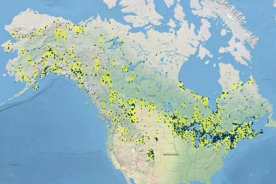 Populus balsamifera Native Range