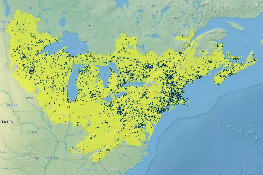 Populus grandidentata Native Range