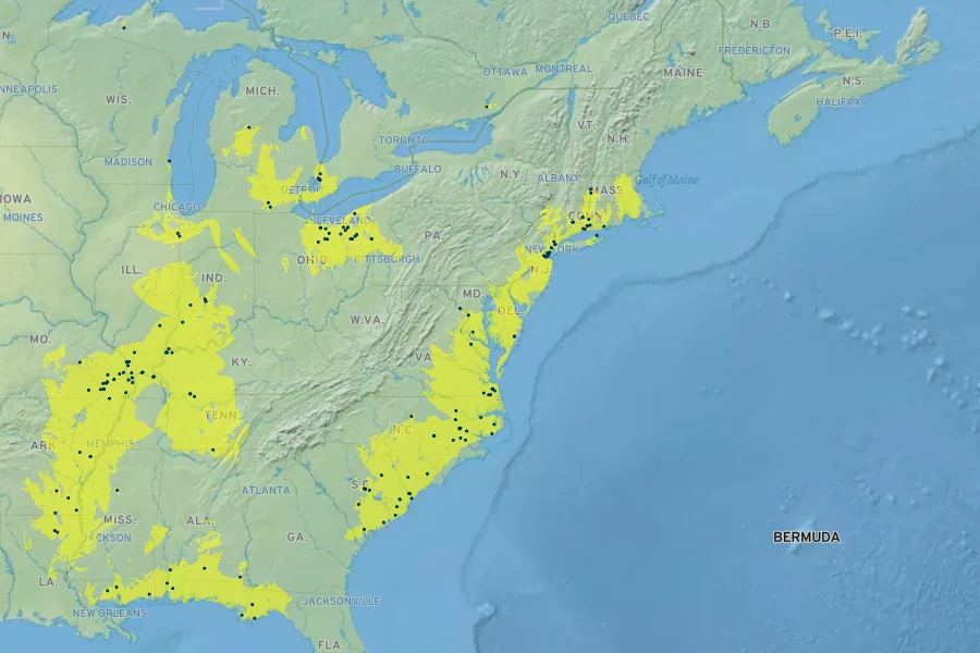 Populus heterophylla Native Range