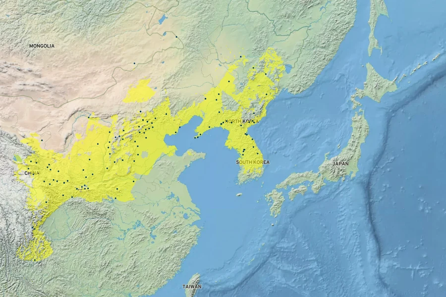 Populus simonii Native Range