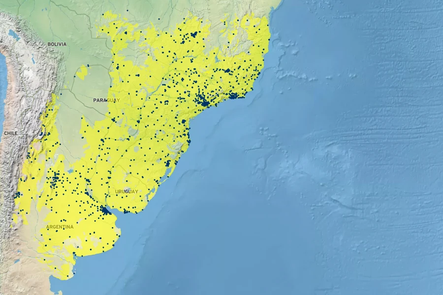 Portulaca grandiflora Native Range