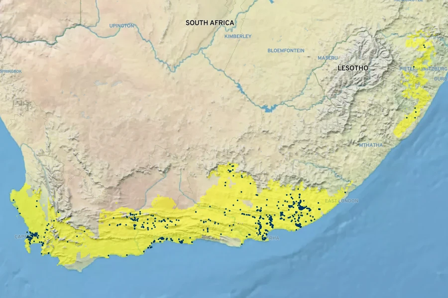 Portulacaria afra Native Range