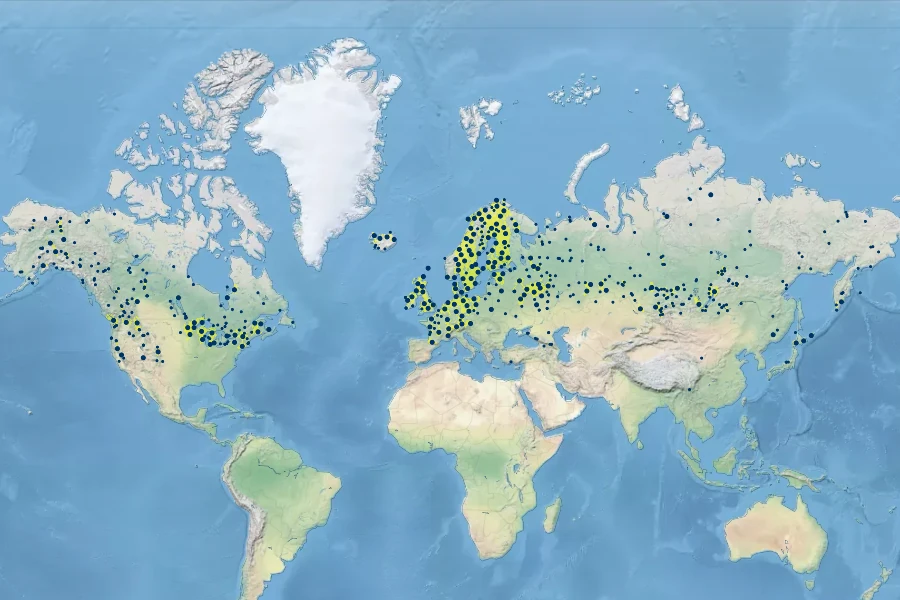 Potamogeton praelongus Native Range