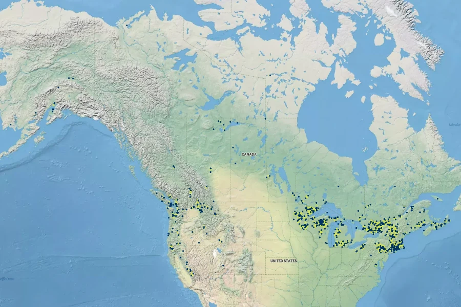 Potamogeton robbinsii Native Range