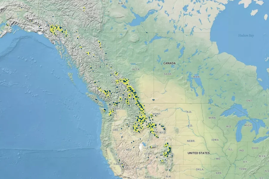Potentilla glaucophylla Native Range