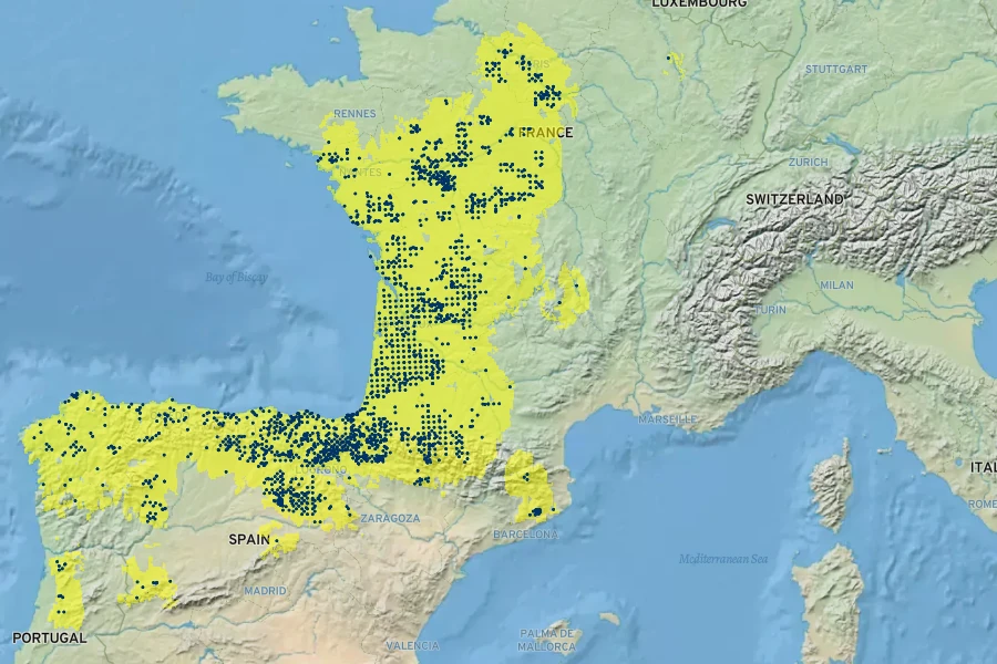 Potentilla montana Native Range