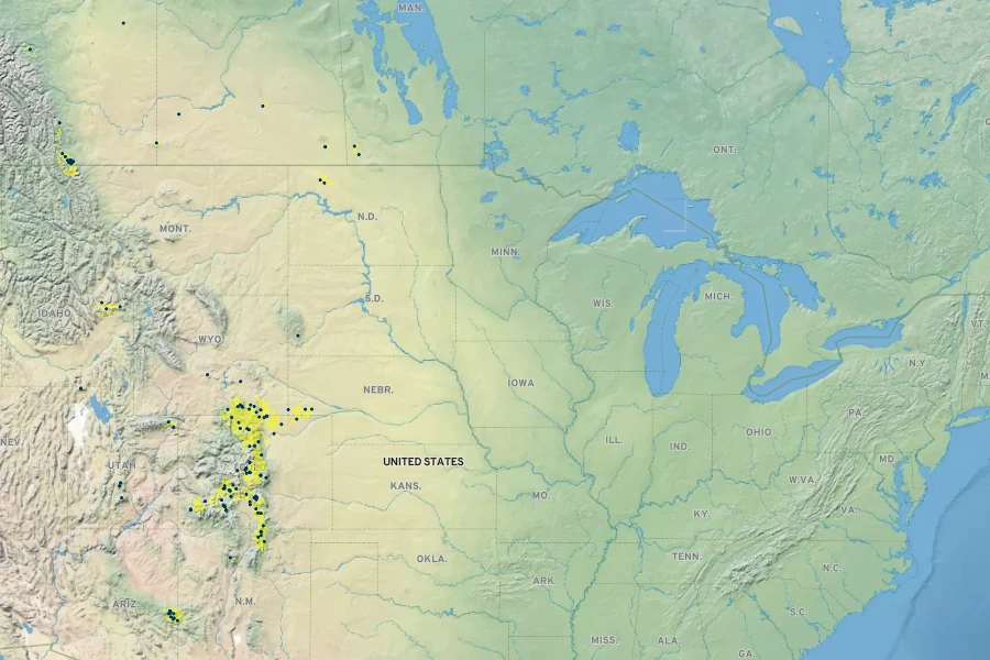 Potentilla plattensis Native Range