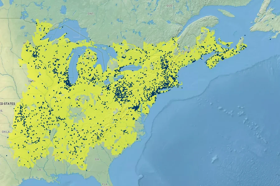 Potentilla simplex Native Range
