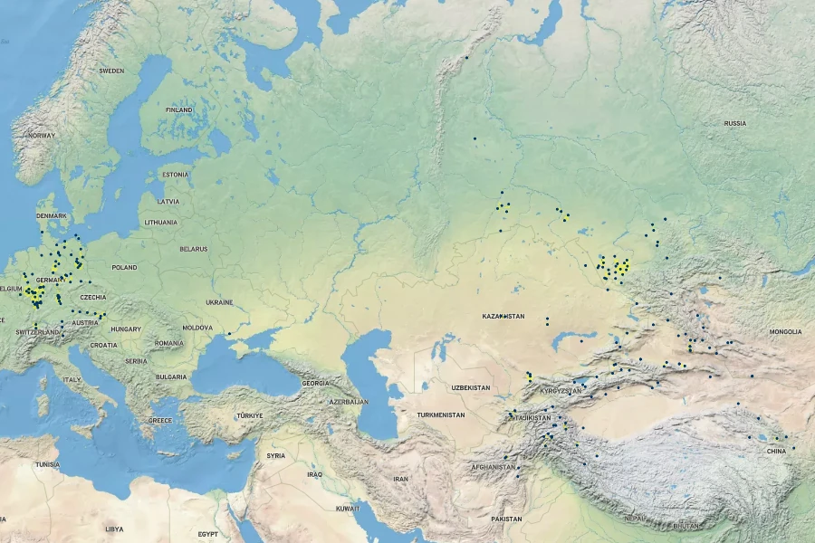 Potentilla virgata Native Range