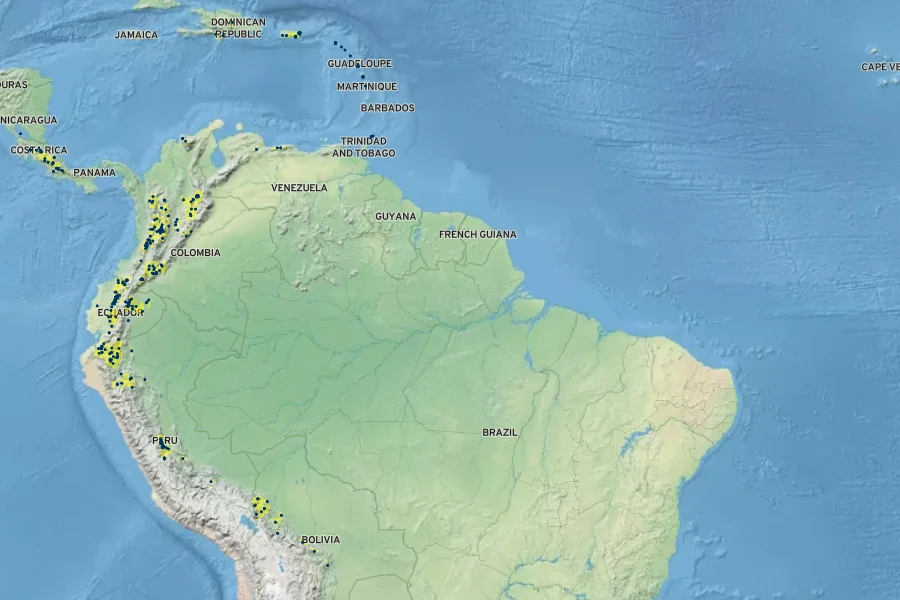 Prestoea acuminata Native Range