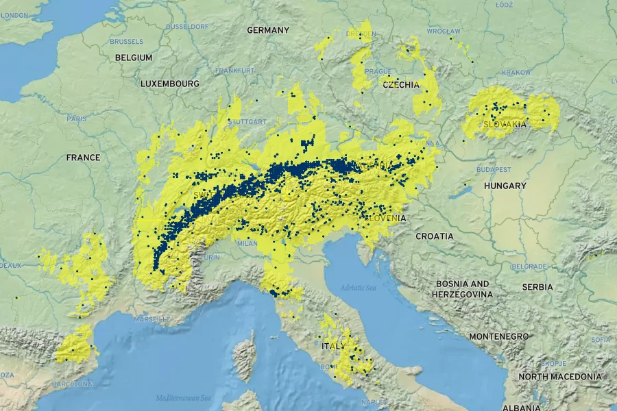 Primula auricula Native Range