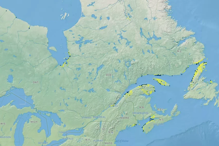 Primula laurentiana Native Range