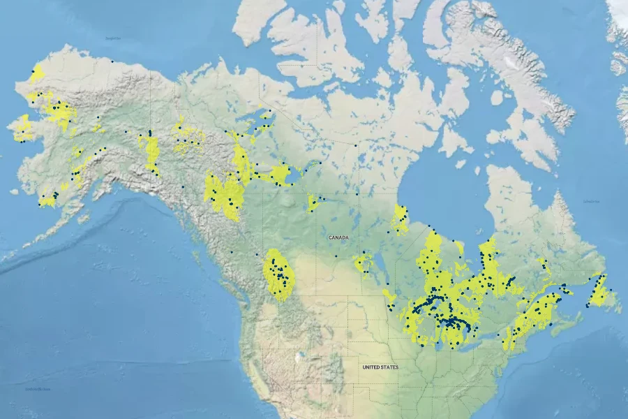 Primula mistassinica Native Range
